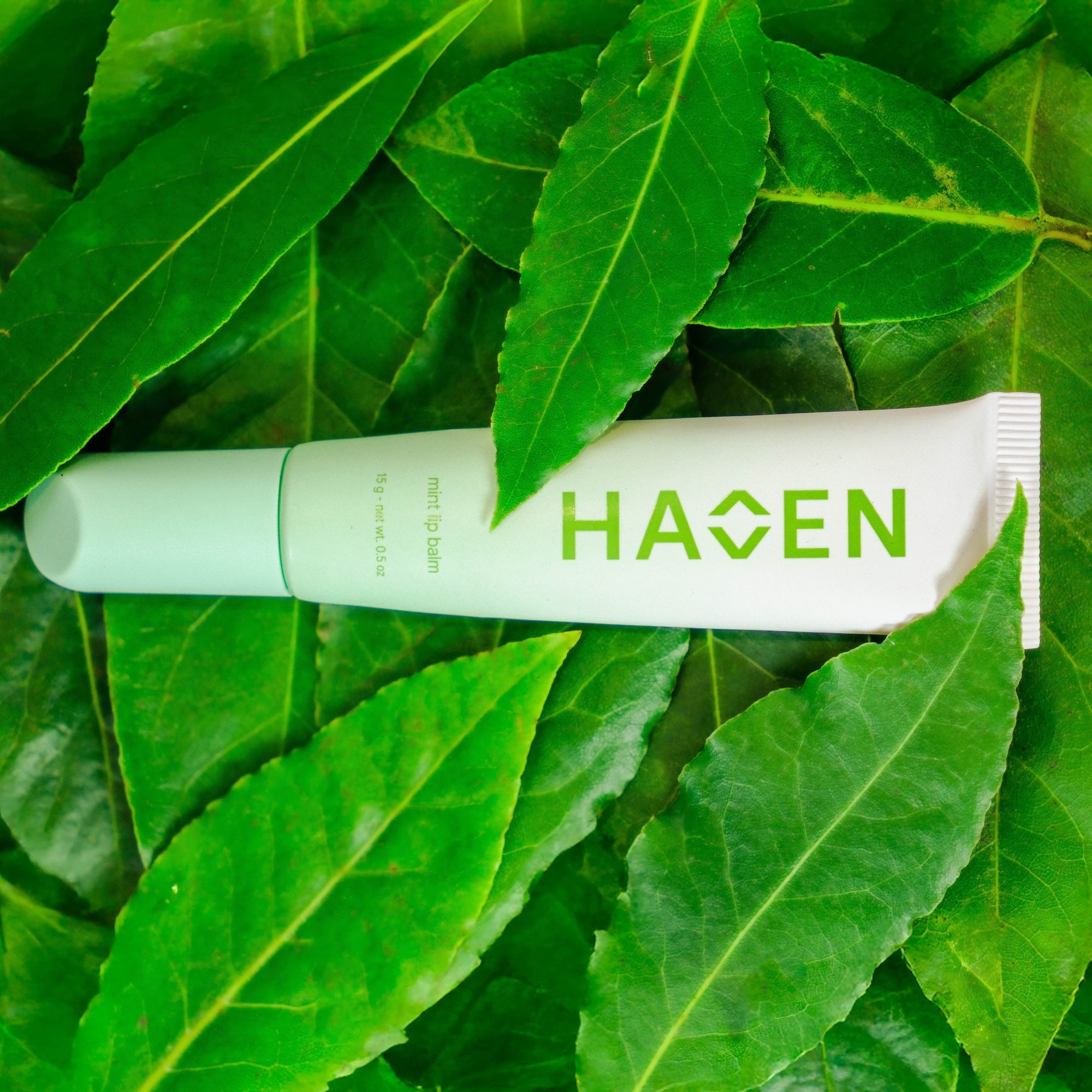 Mint lip balm laying on real mint leaves.
